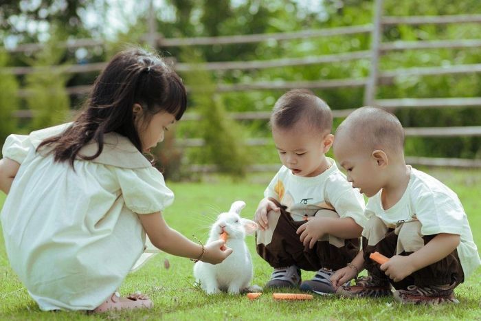 KET là bài kiểm tra gì?